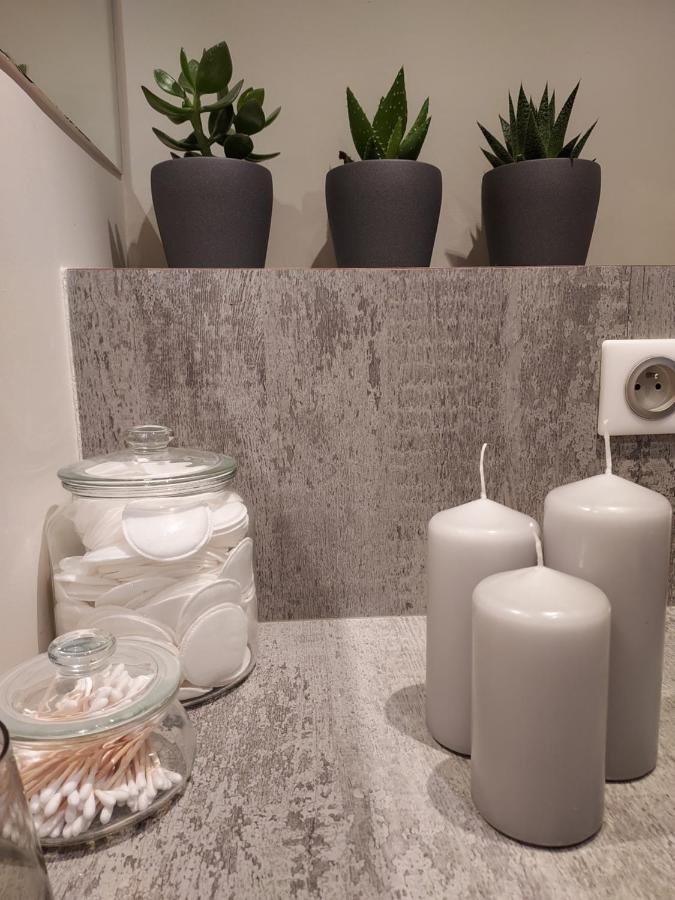 Boigne Sweet Suite Chambéry 외부 사진