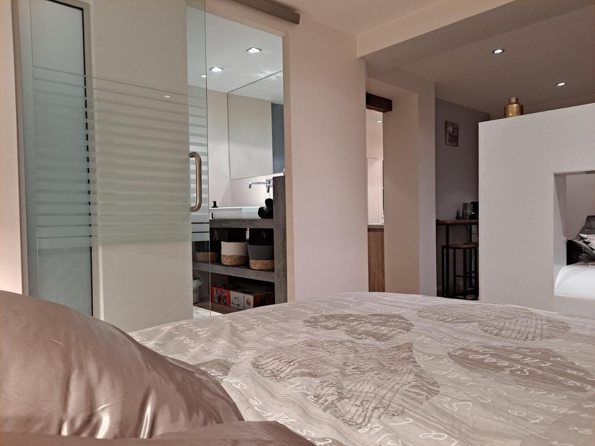 Boigne Sweet Suite Chambéry 외부 사진